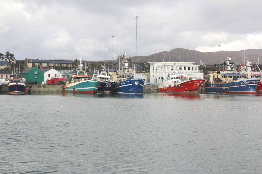 The Beara Coast Hotel Castletownbere Buitenkant foto