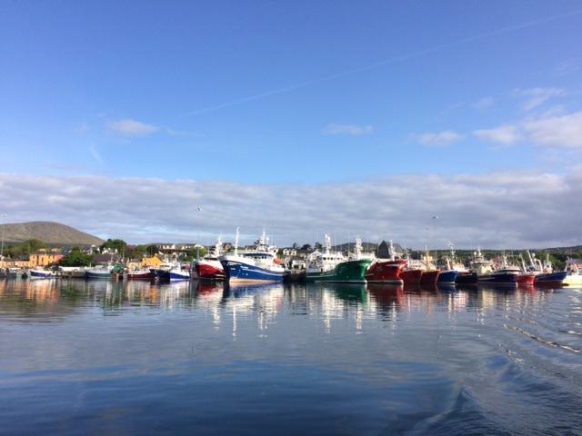 The Beara Coast Hotel Castletownbere Buitenkant foto